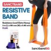 Picture of Sanctband Resistive Bands 2M Plum