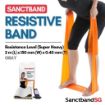 Picture of Sanctband Resistive Bands 2M Gray