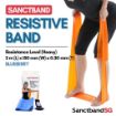 Picture of Sanctband Resistive Bands 2M Blueberry
