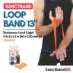Picture of Sanctband Loop Band 13" Orange