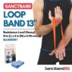 Picture of Sanctband Loop Band 13" Blueberry