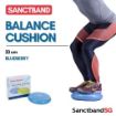 Picture of Sanctband Balance Cushion Blueberry