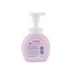 Picture of Kirei Kirei Anit-Bacterial Foaming Hand Soap Peach 250ml
