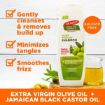 Picture of Palmer's Olive Oil Formula Shine Therapy Shampoo 400ml