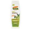 Picture of Palmer's Olive Oil Formula Shine Therapy Shampoo 400ml BW Olive Oil Hair Pack