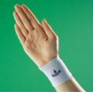 Picture of Oppo Wrist Support Nano #2586 M