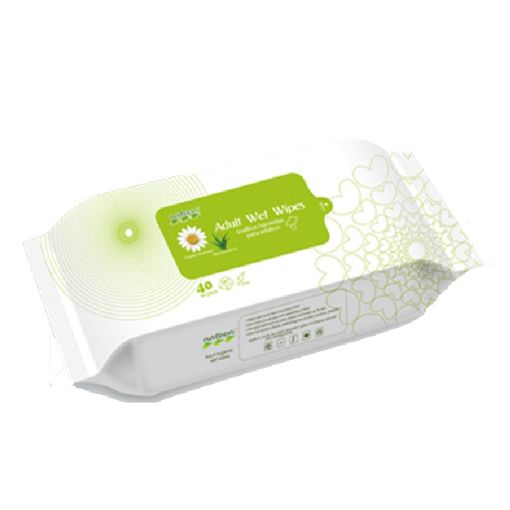 Picture of Nateen Adult Wet Wipes 40s