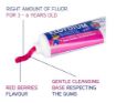 Picture of Elgydium Kids Red Berries Toothpaste 3-6 Years 50g