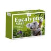 Picture of Country Life Eucalyptus Soap 100g